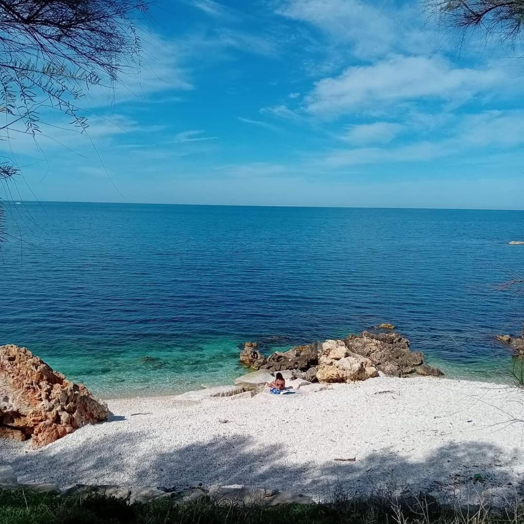 Amaste In Puglia Casa Vacanza Bisceglie Exteriör bild