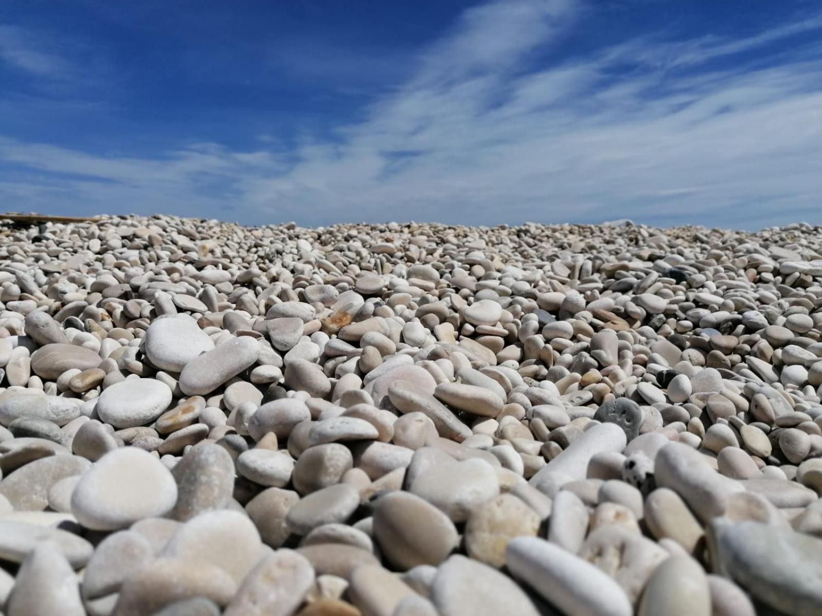 Amaste In Puglia Casa Vacanza Bisceglie Exteriör bild