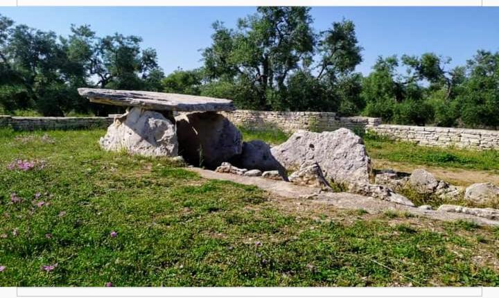 Amaste In Puglia Casa Vacanza Bisceglie Exteriör bild